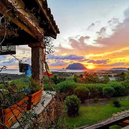 Villa Acchiappasogni Porto San Paolo  Eksteriør bilde